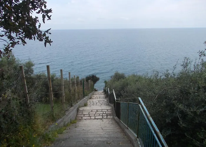 Soleli