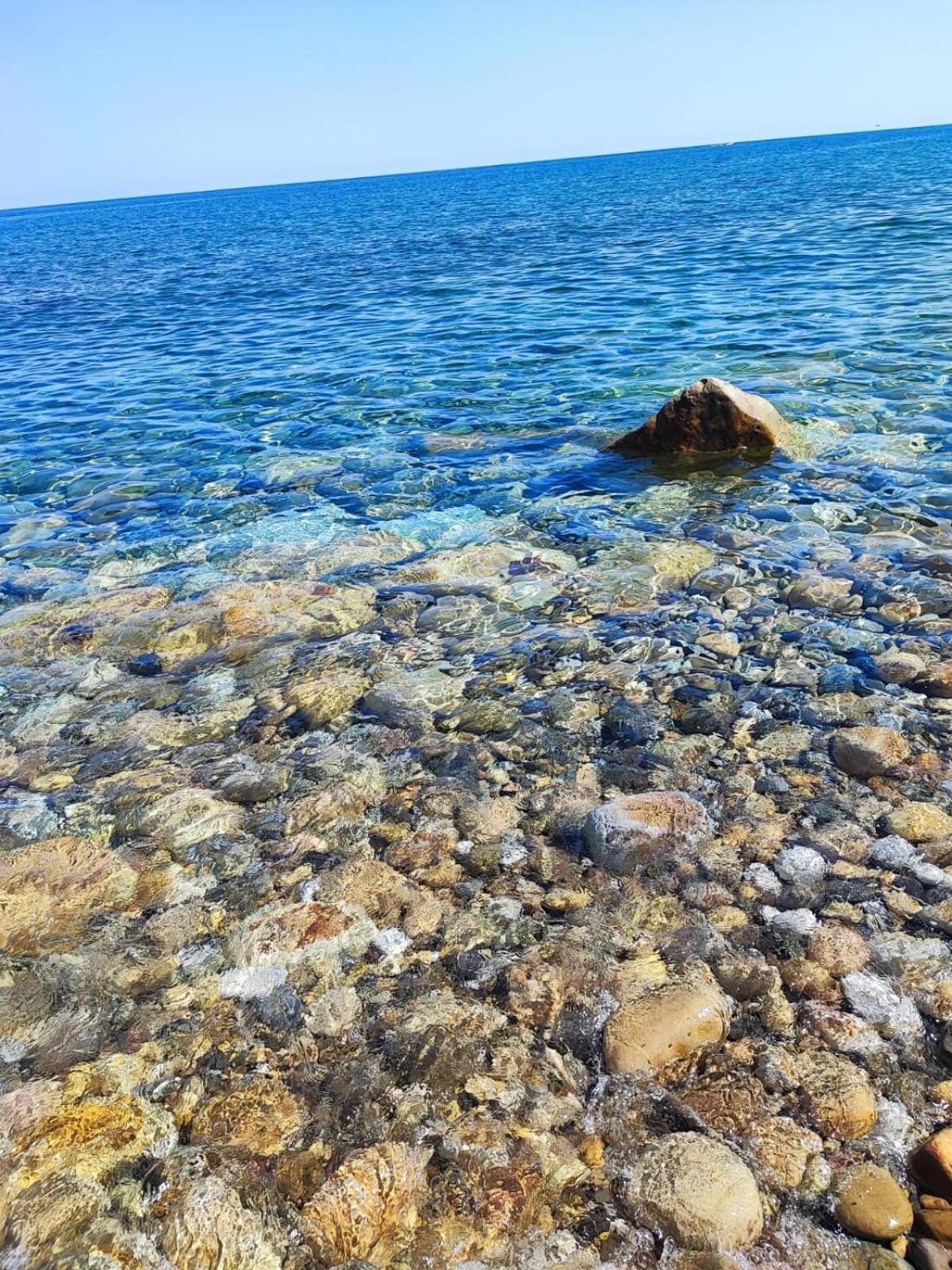 Soleli *